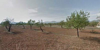 Camí Passatemps – Baleares – España