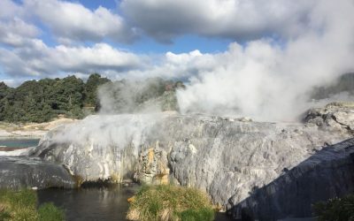 Te Puia – Nueva Zelanda