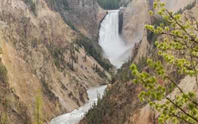 Yellowstone – Wyoming – Estados Unidos