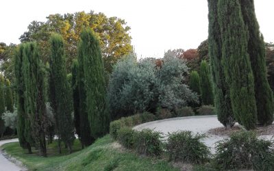 Bosque del Recuerdo – Madrid – España