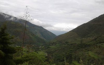 Valle del Cauca – Colombia