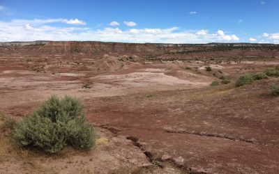 Valle de la Luna Rojo (General Roca) – Argentina