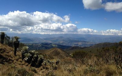 Páramo de Ocetá – Colombia