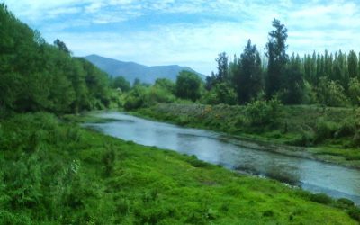 Río Angostura – Chile