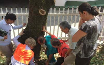 Hospital Infantil Santa Ana – Colombia