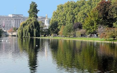 Jardines del Buckingham Palace – Gran Bretaña