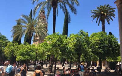 Patio de los Naranjos – Córdoba – España