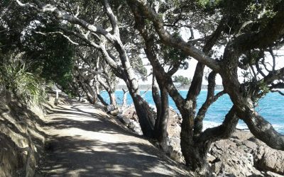 Mount Maunganui – Nueva Zelanda