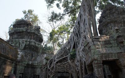 Templo Ta Prohm – Camboya