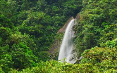 Parque Nacional de Tapantí – Costa Rica