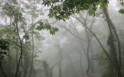 Chipinque – México