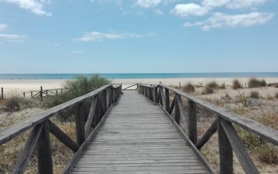 Isla canela – Huelva – España