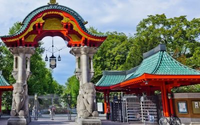 Zoológico Berlín – Alemania