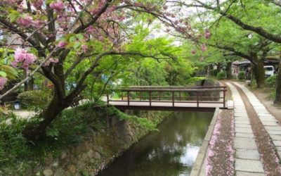 Camino del Filósofo – Japón