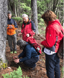 Mount Shasta – California – Estados Unidos