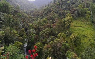Santuario de las Siete Cascadas – Esmeraldas