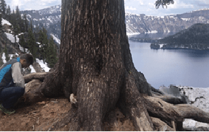 Crater Lake – Oregón – Estados Unidos