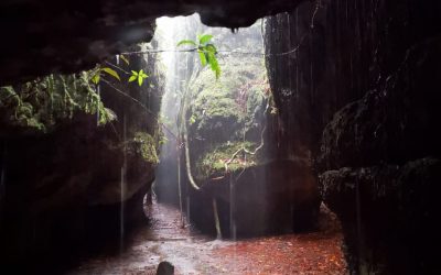 San José del Guaviare-Guaviare – Colombia