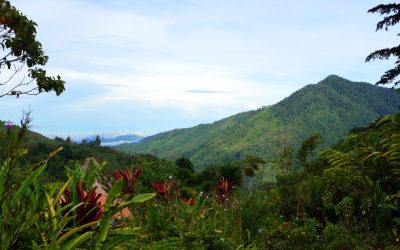 Montaña Azul – Costa Rica