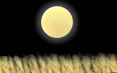 Meditación Luna Llena de Capricornio Enero 2022 – Consideraciones preliminares